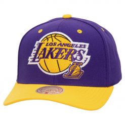 Los Angeles Lakers Mitchell Ness All In 20 Pro Crown Snapback Hat Purple