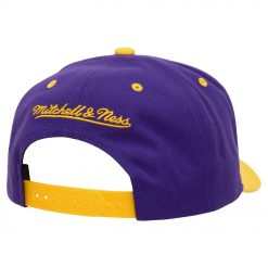 Los Angeles Lakers Mitchell Ness All In 20 Pro Crown Snapback Hat Purple