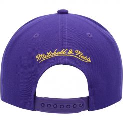 Los Angeles Lakers Mitchell Ness Paint By Numbers Snapback Hat Purple