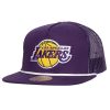 Los Angeles Lakers Mitchell Ness Paint By Numbers Snapback Hat Purple