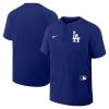 Men’s Los Angeles Dodgers Nike Royal Authentic Collection Game Time Raglan Performance Long Sleeve T-Shirt